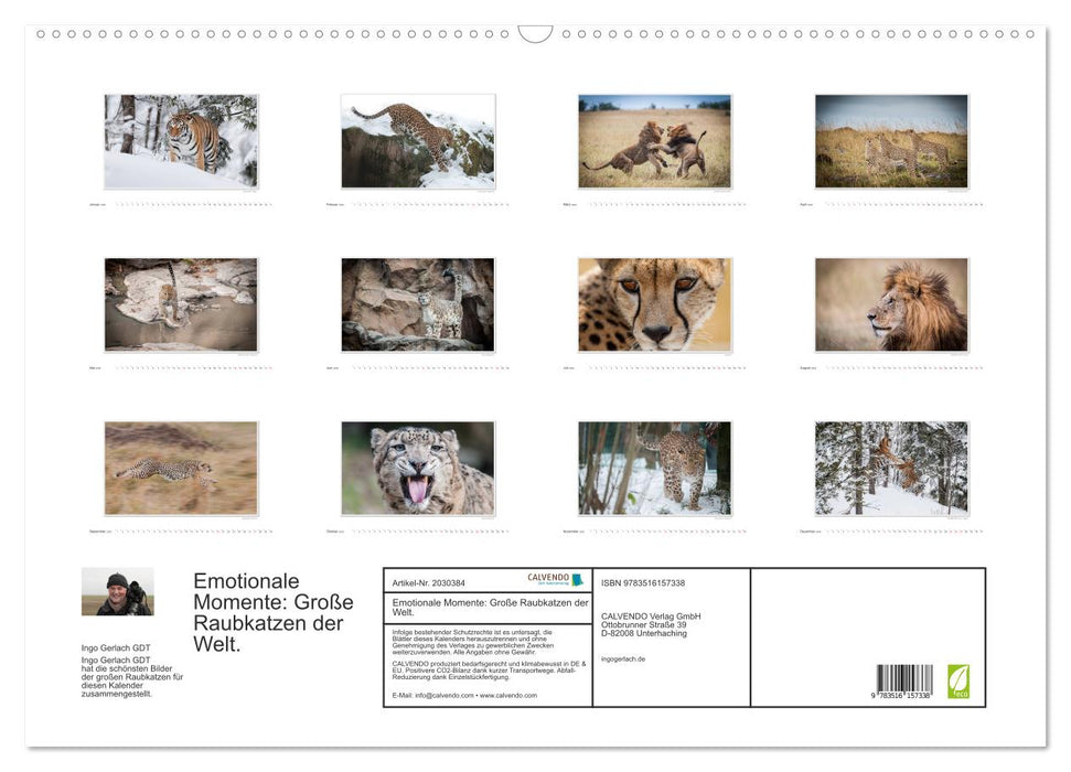 Emotionale Momente: Große Raubkatzen der Welt. (CALVENDO Wandkalender 2026)