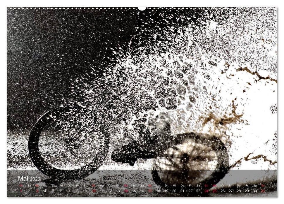 THIS IS BMX 2026 (CALVENDO Wandkalender 2026)