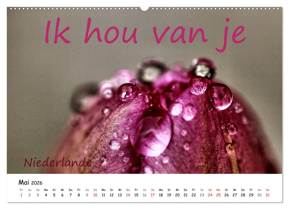 Ich liebe Dich (CALVENDO Premium Wandkalender 2026)