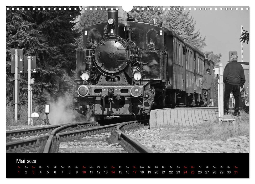 Mein Dampfbahnkalender 2026 (CALVENDO Wandkalender 2026)