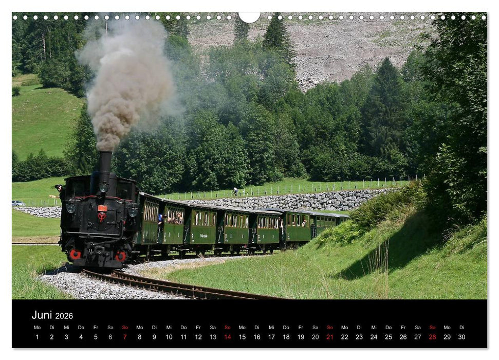 Mein Dampfbahnkalender 2026 (CALVENDO Wandkalender 2026)