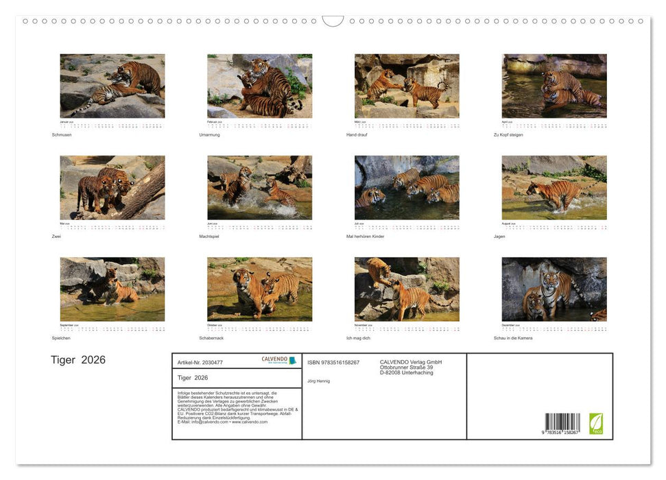 Tiger 2026 (CALVENDO Wandkalender 2026)
