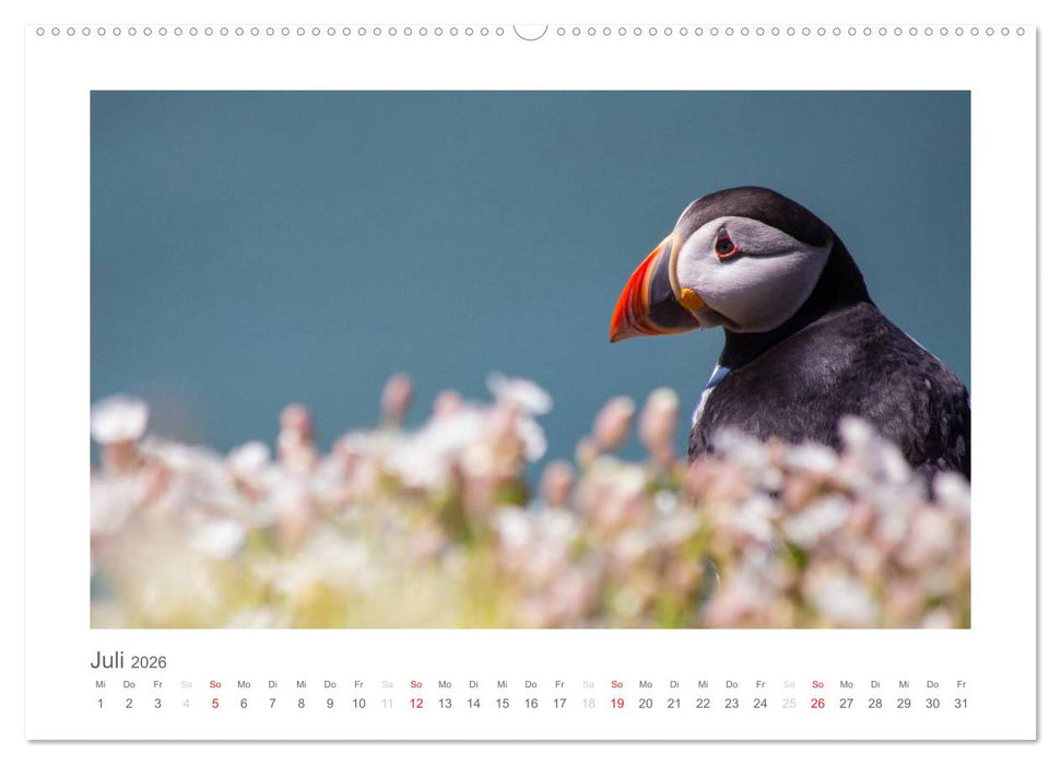 Wales / AT-Version (CALVENDO Premium Wandkalender 2026)