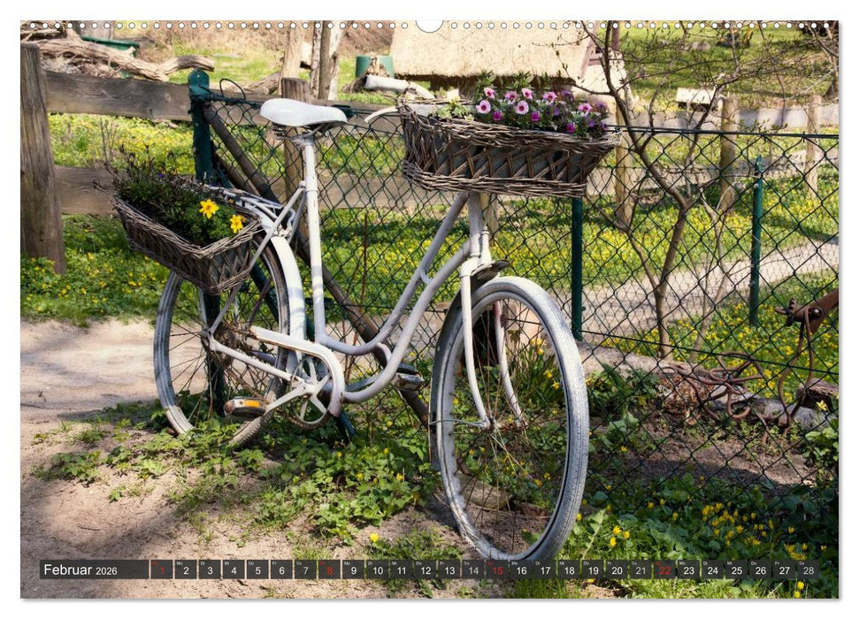 Insel Hiddensee (CALVENDO Wandkalender 2026)