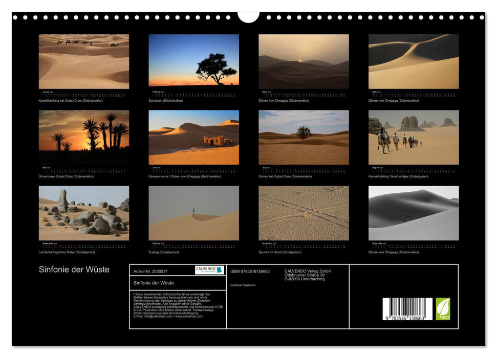 Sinfonie der Wüste (CALVENDO Wandkalender 2026)