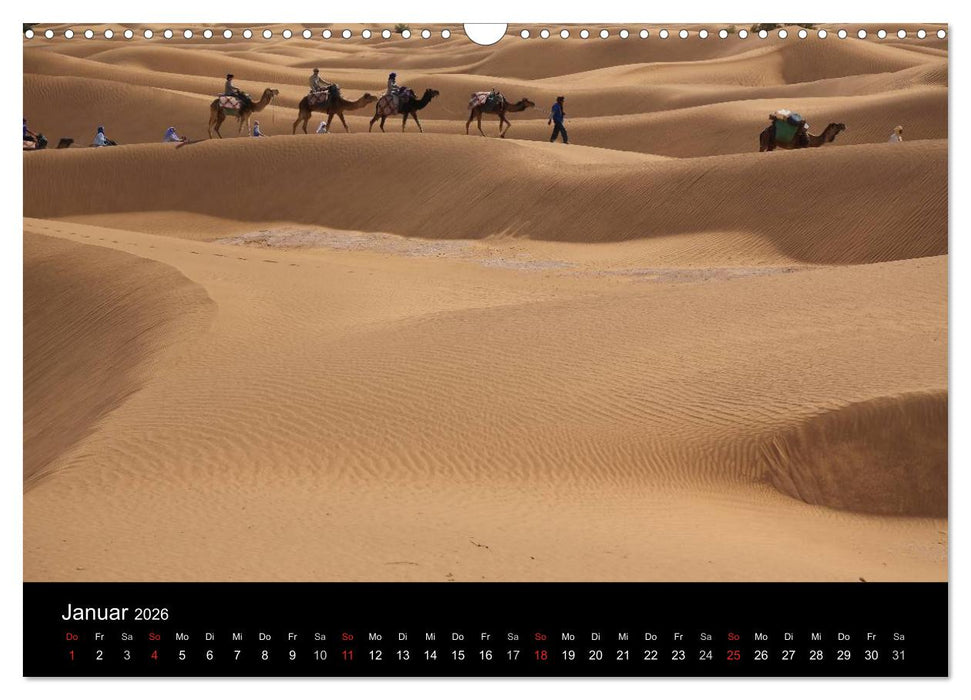 Sinfonie der Wüste (CALVENDO Wandkalender 2026)