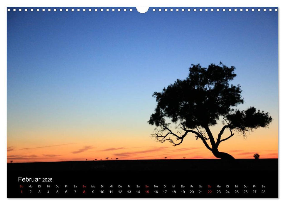 Sinfonie der Wüste (CALVENDO Wandkalender 2026)