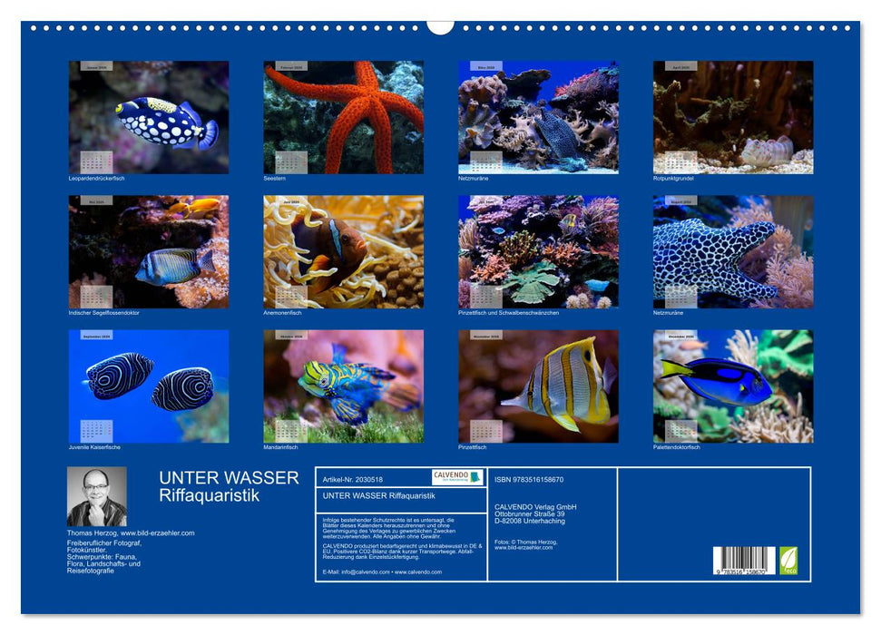 UNTER WASSER Riffaquaristik (CALVENDO Wandkalender 2026)