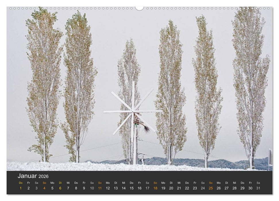 Die Südsteirischen Weinstrasse (CALVENDO Wandkalender 2026)