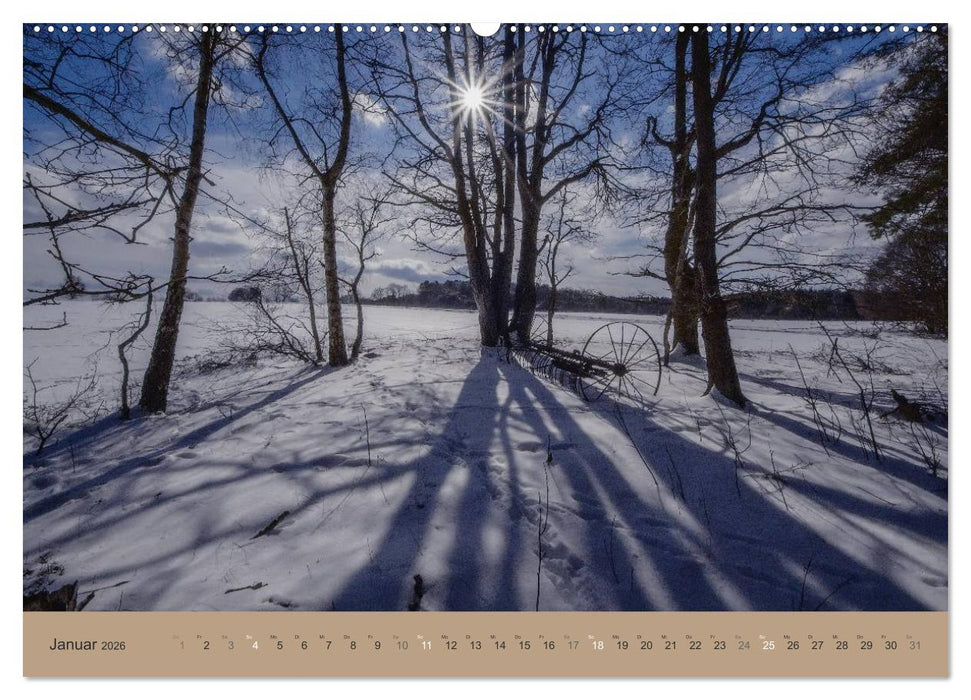 Unser Wald - Magische Sichten in norddeutsche Wälder (CALVENDO Premium Wandkalender 2026)