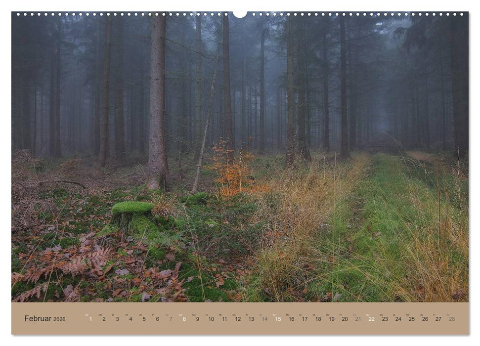 Unser Wald - Magische Sichten in norddeutsche Wälder (CALVENDO Premium Wandkalender 2026)