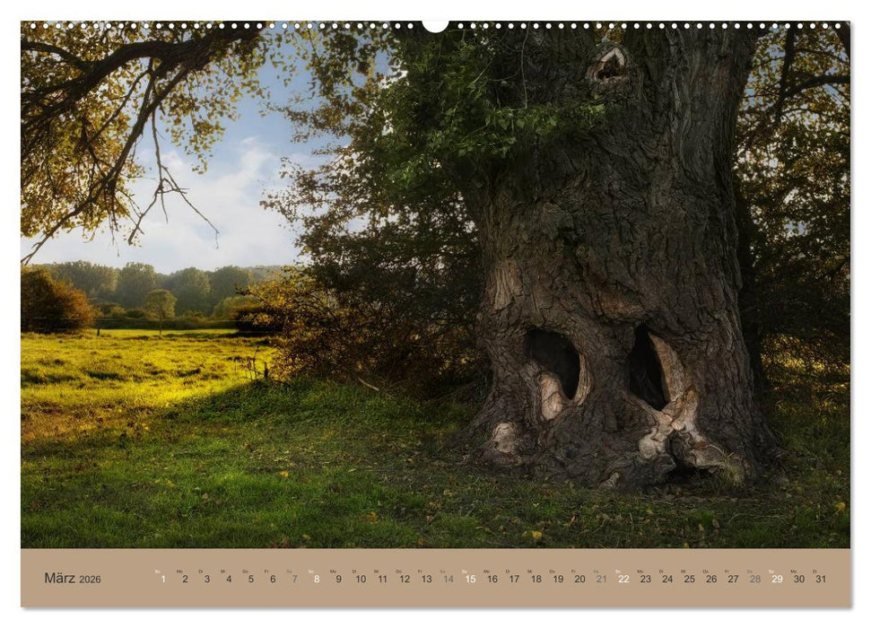 Unser Wald - Magische Sichten in norddeutsche Wälder (CALVENDO Premium Wandkalender 2026)