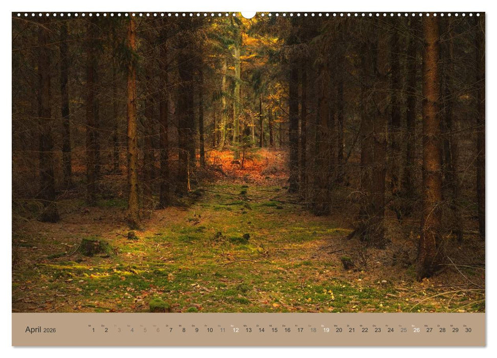 Unser Wald - Magische Sichten in norddeutsche Wälder (CALVENDO Premium Wandkalender 2026)
