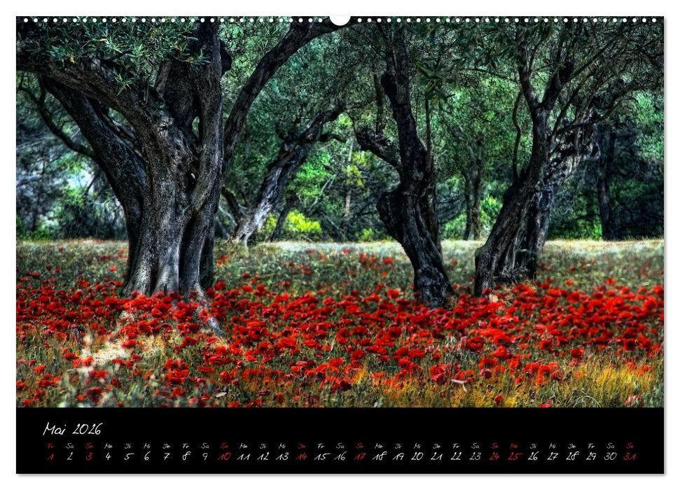 Provence romantique (CALVENDO Premium Wandkalender 2026)