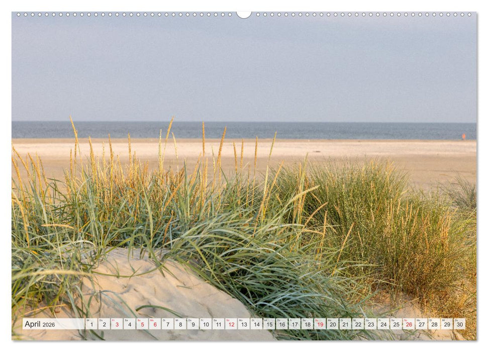 Die Insel Römö (CALVENDO Premium Wandkalender 2026)