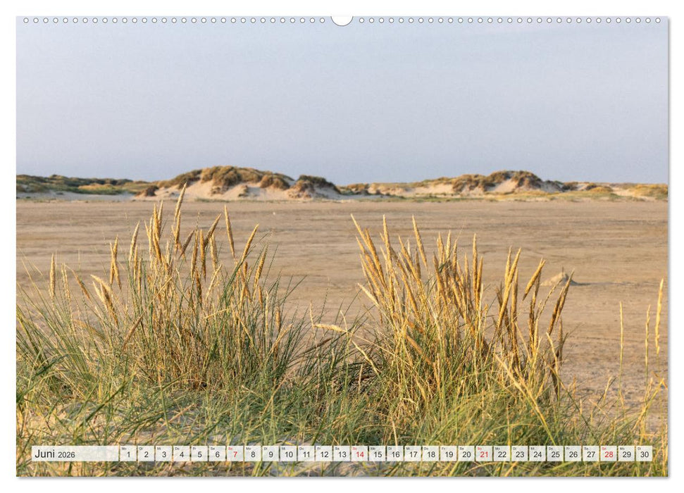 Die Insel Römö (CALVENDO Premium Wandkalender 2026)