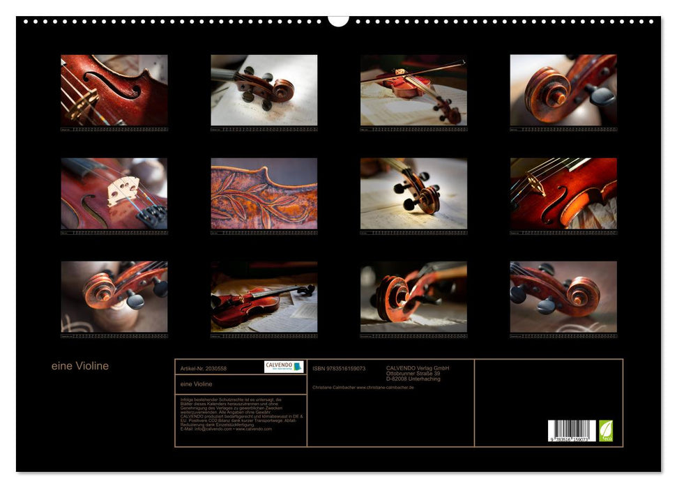 eine Violine (CALVENDO Wandkalender 2026)