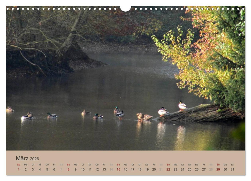 Krefelder Landschaften (CALVENDO Wandkalender 2026)