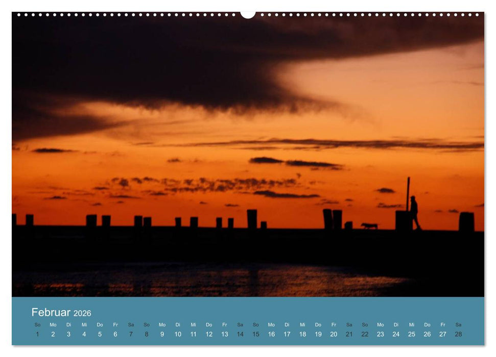Föhr 2026. Porträt einer Insel (CALVENDO Wandkalender 2026)