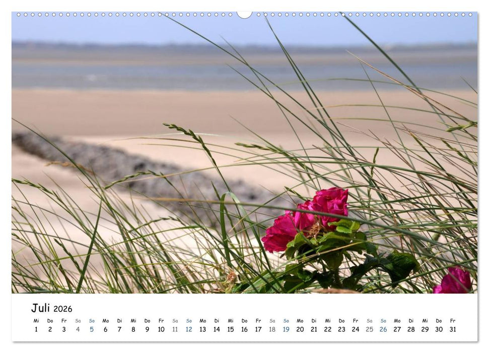 Föhr und Halligwelt 2026 (CALVENDO Premium Wandkalender 2026)