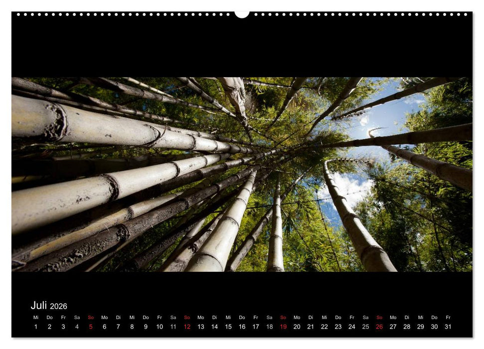 Patagonien - Ungezähmtes Land (CALVENDO Premium Wandkalender 2026)