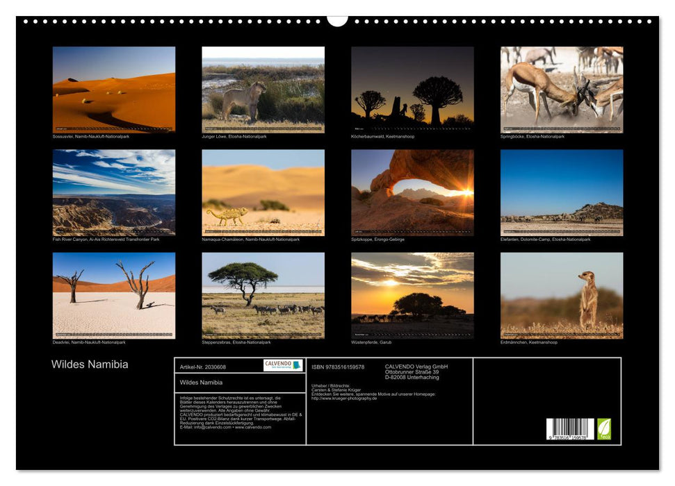 Wildes Namibia (CALVENDO Wandkalender 2026)