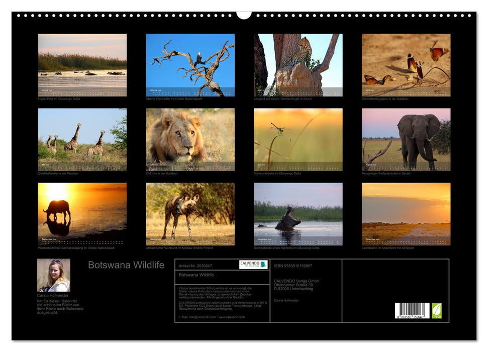 Botswana Wildlife (CALVENDO Wandkalender 2026)