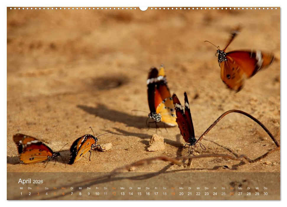 Botswana Wildlife (CALVENDO Wandkalender 2026)