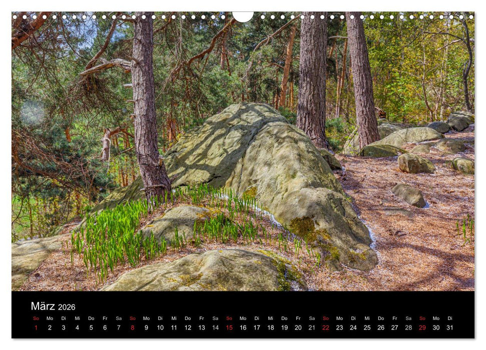 Teufelsmauer Harz (CALVENDO Wandkalender 2026)