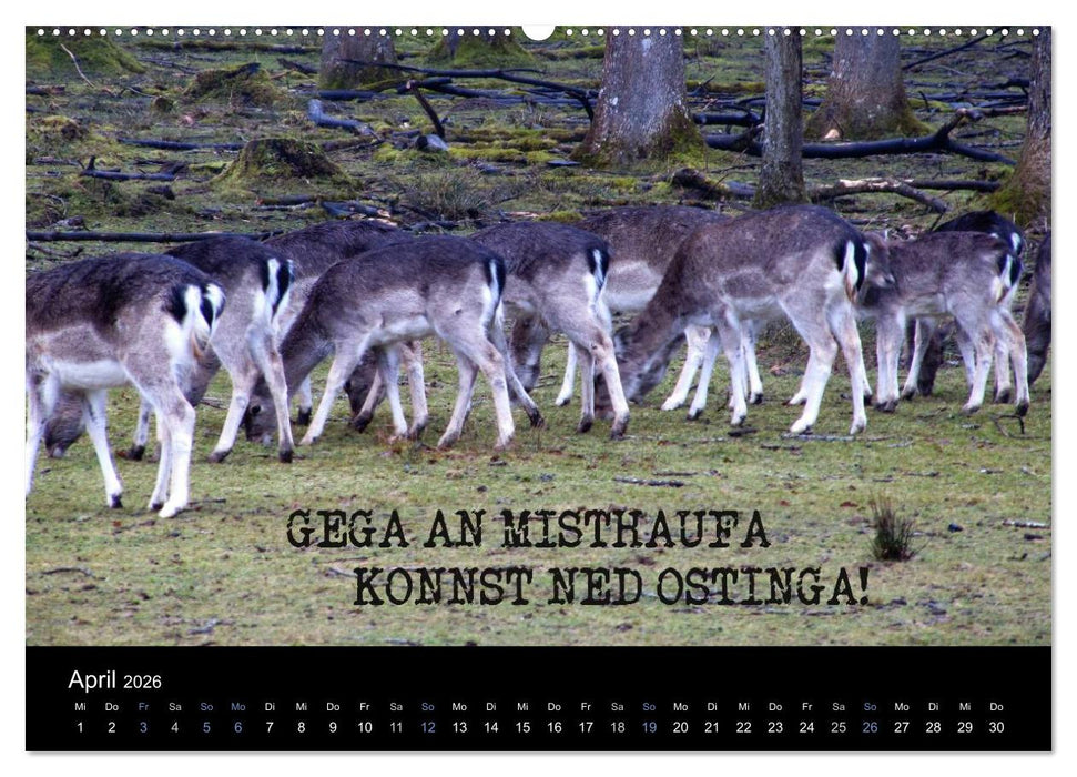 Baierische Lebensweisheiten (CALVENDO Wandkalender 2026)