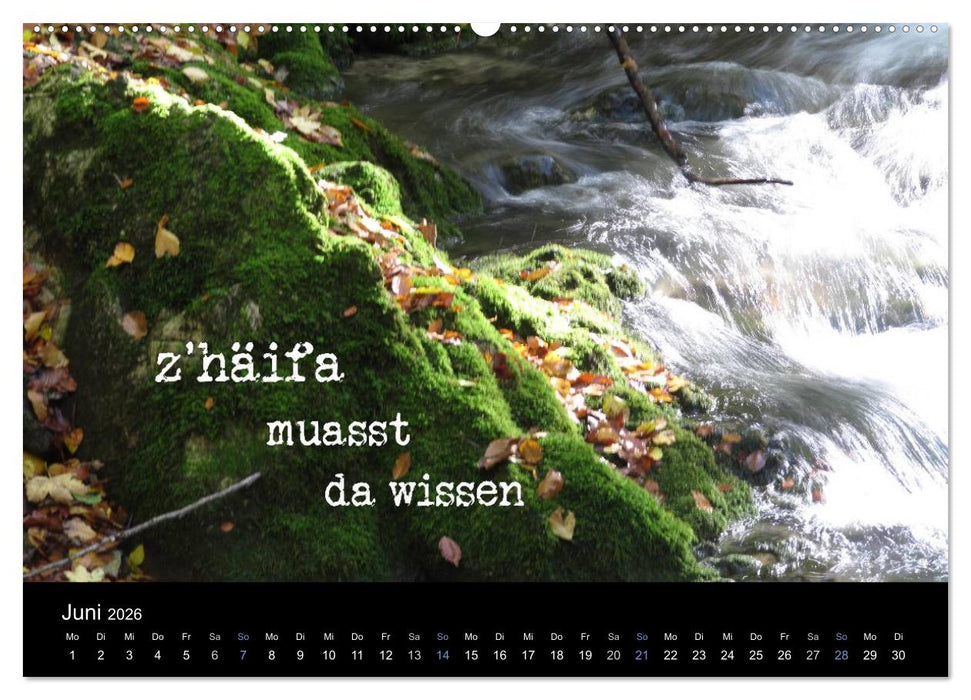 Baierische Lebensweisheiten (CALVENDO Wandkalender 2026)