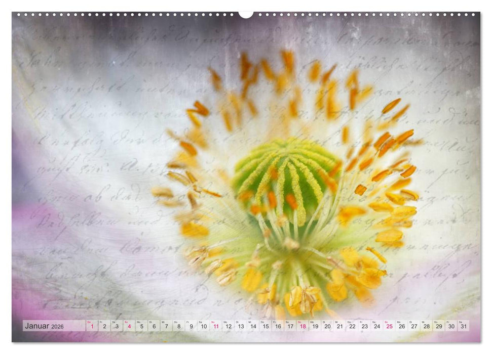 Vintage Nature - Romantische Naturaufnahmen (CALVENDO Wandkalender 2026)
