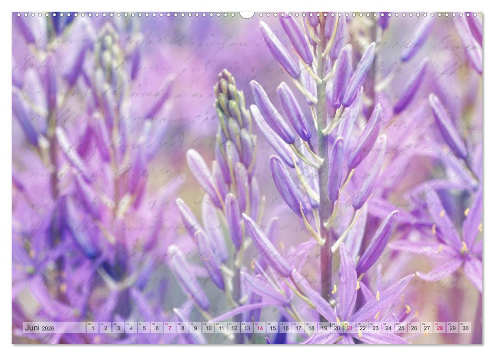 Vintage Nature - Romantische Naturaufnahmen (CALVENDO Wandkalender 2026)