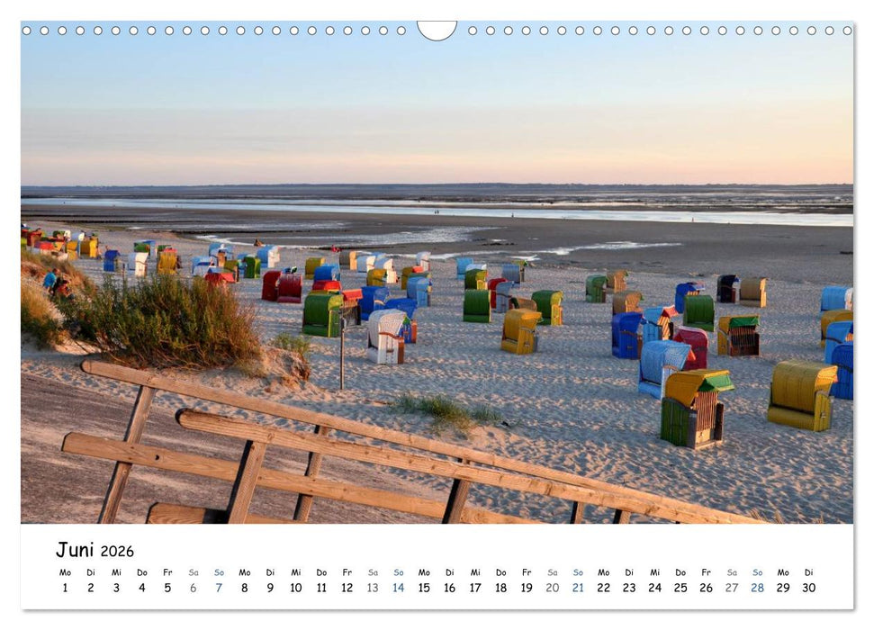 Föhr und Halligwelt 2026 (CALVENDO Wandkalender 2026)