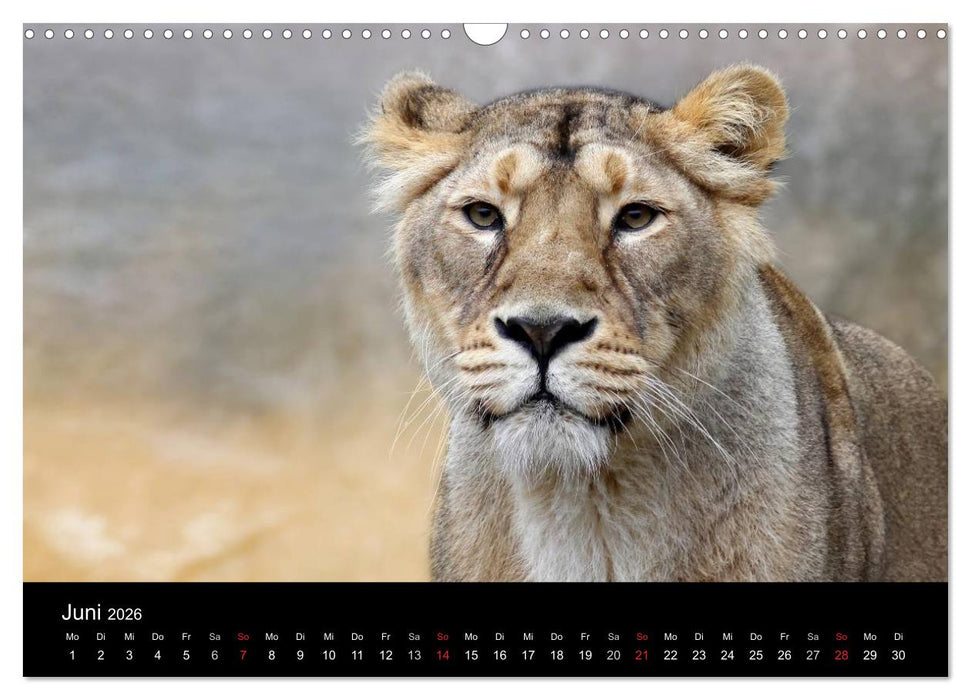 Tiere unserer Erde (CALVENDO Wandkalender 2026)