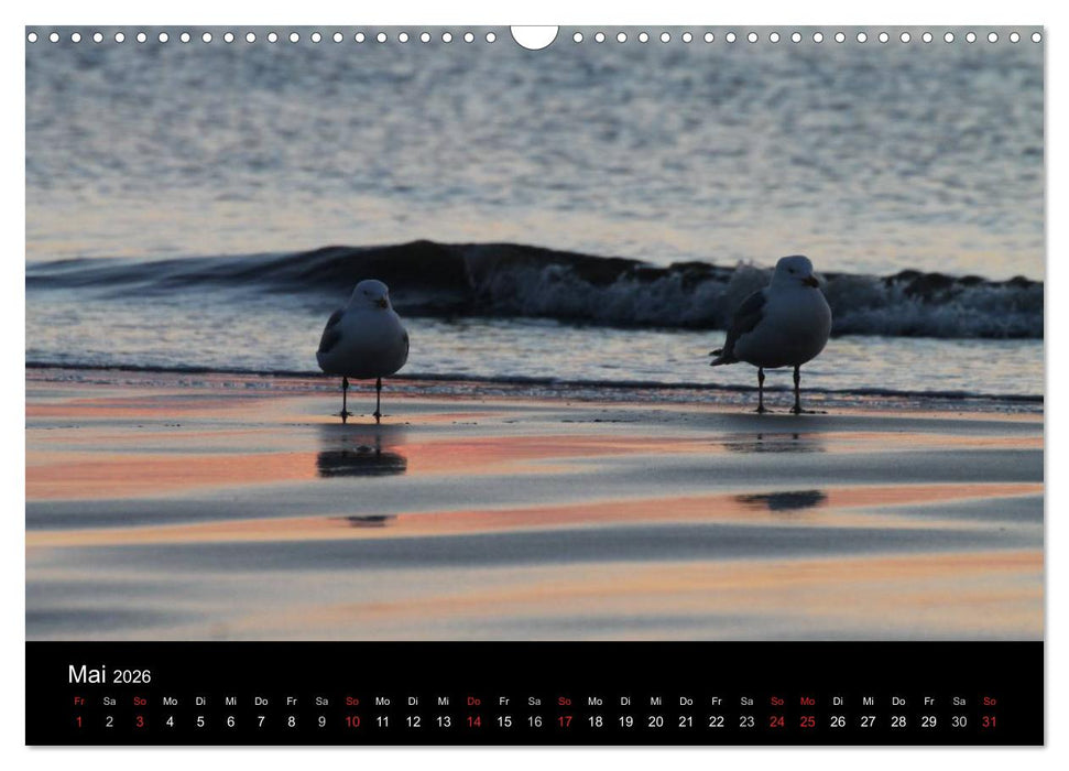 Sylt 2026 (CALVENDO Wandkalender 2026)