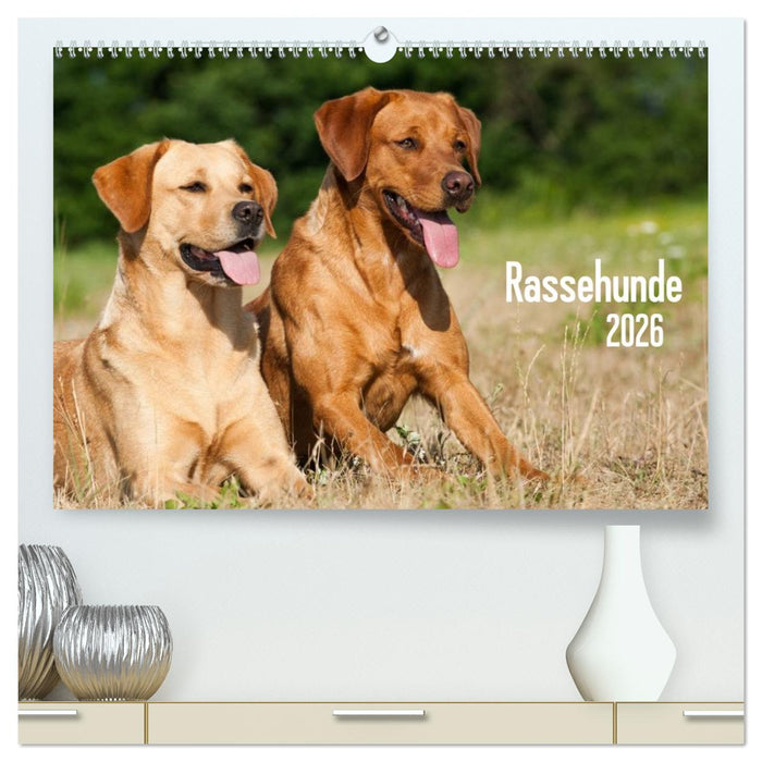 Rassehunde (CALVENDO Premium Wandkalender 2026)