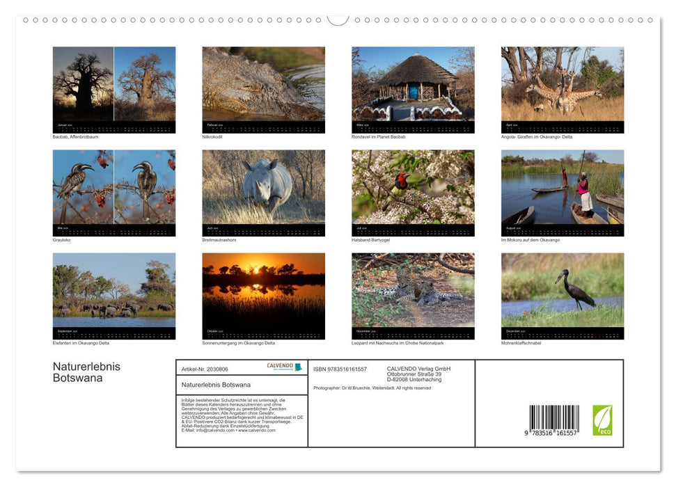 Naturerlebnis Botswana (CALVENDO Premium Wandkalender 2026)