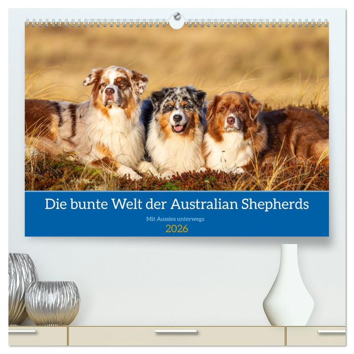Mit Aussies unterwegs - Die bunte Welt der Australian Shepherds (CALVENDO Premium Wandkalender 2026)
