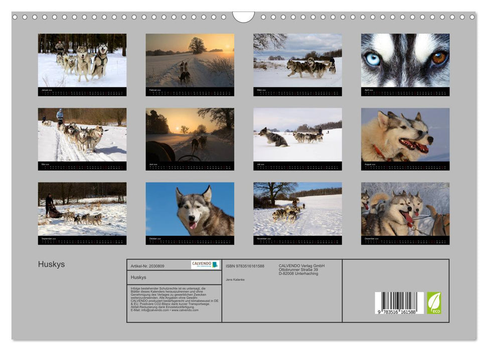 Huskys (CALVENDO Wandkalender 2026)