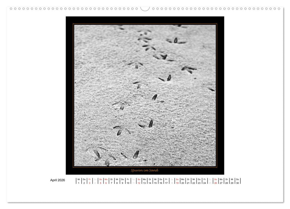 Wangerooge in Fine Art (CALVENDO Premium Wandkalender 2026)