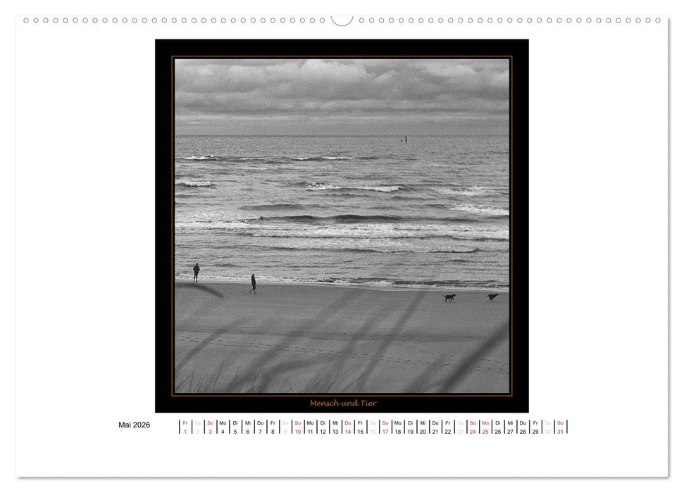 Wangerooge in Fine Art (CALVENDO Premium Wandkalender 2026)