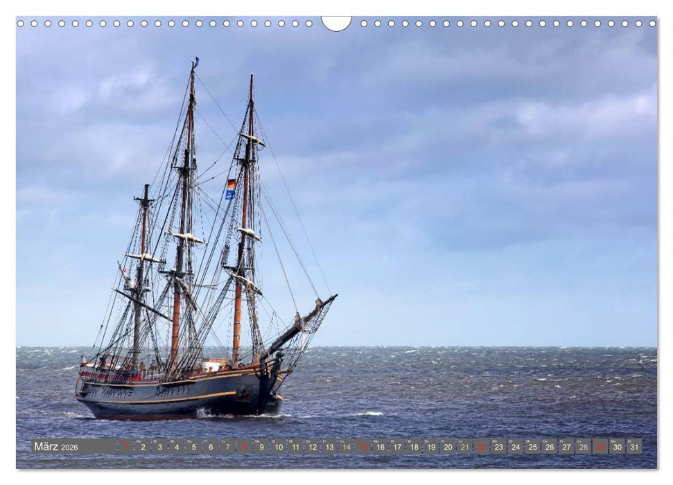 Großsegler (CALVENDO Wandkalender 2026)