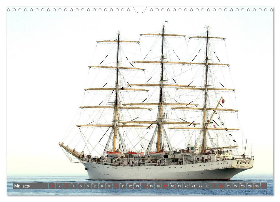 Großsegler (CALVENDO Wandkalender 2026)