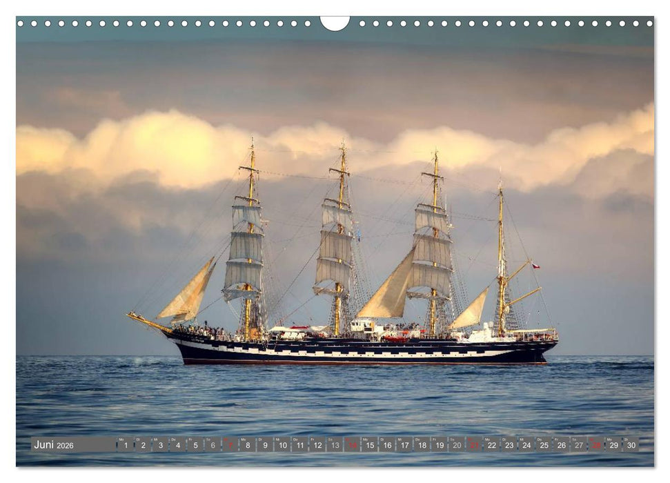 Großsegler (CALVENDO Wandkalender 2026)