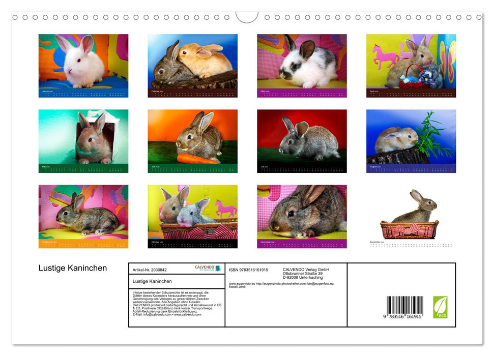 Lustige Kaninchen (CALVENDO Wandkalender 2026)
