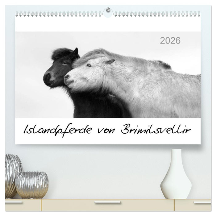 Islandpferde von Brimilsvellir (CALVENDO Premium Wandkalender 2026)