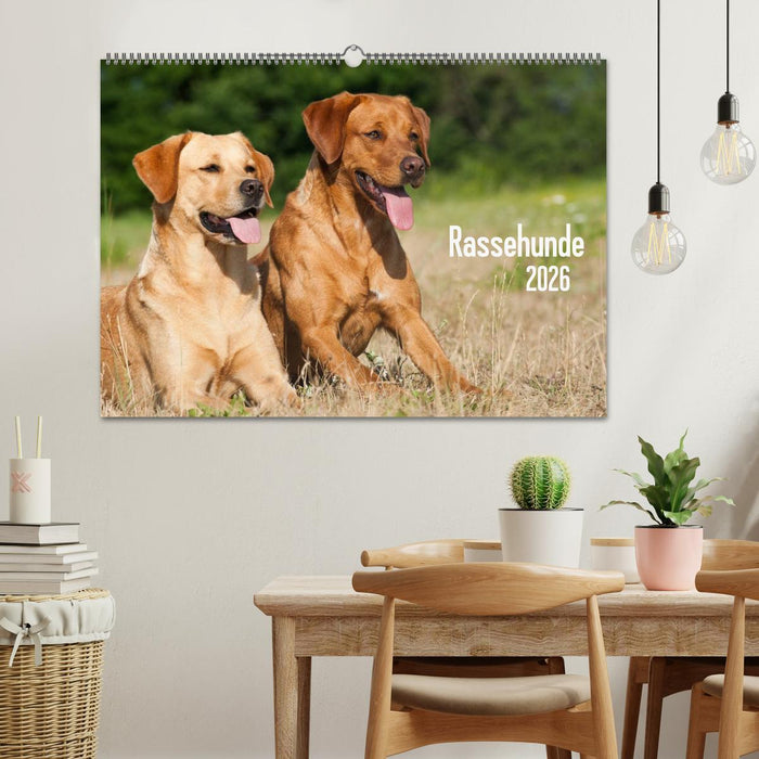Rassehunde (CALVENDO Wandkalender 2026)