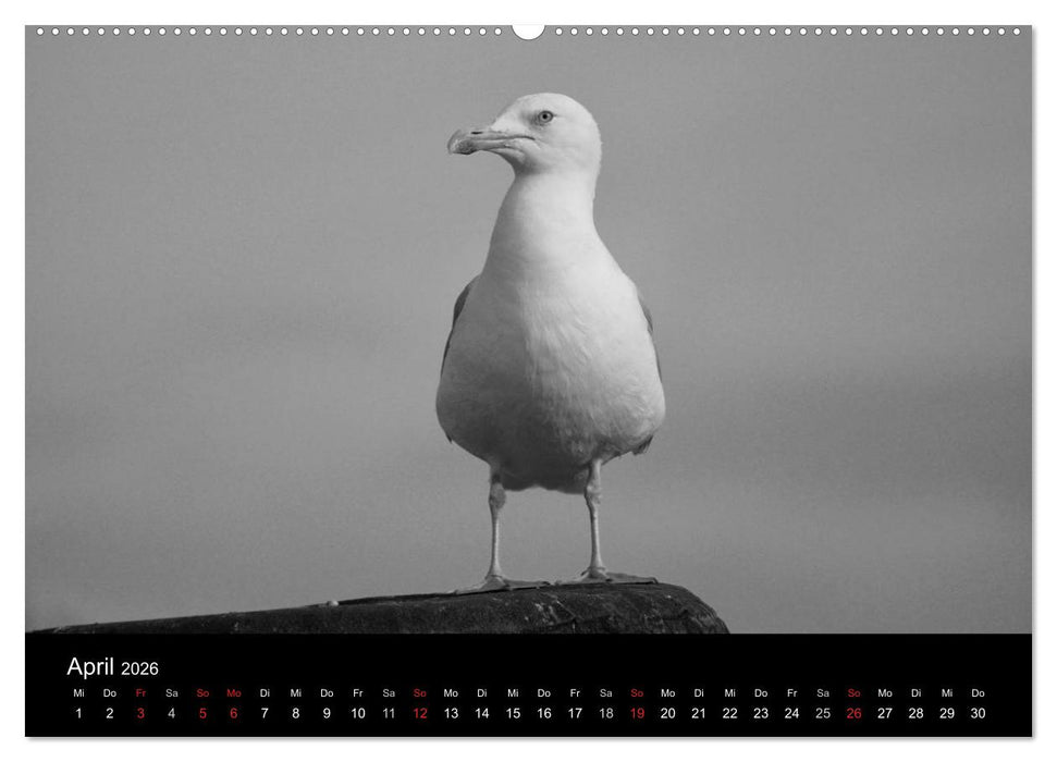 Willkommen in Cuxhaven (CALVENDO Premium Wandkalender 2026)