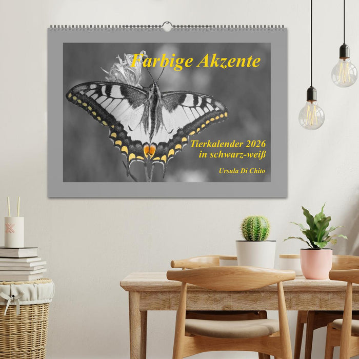 Farbige Akzente - Tierkalender 2026 in schwarz-weiß (CALVENDO Wandkalender 2026)